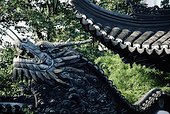 Dragon chinois