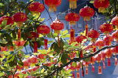 Nouvel an Chinois