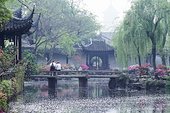 Les jardins traditionnels de Shanghai, les derniers endroits protégés de la ville